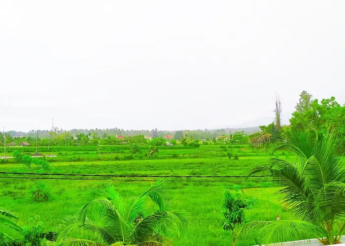 Hotel Puri