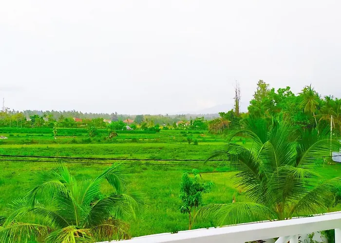 Hotel Puri